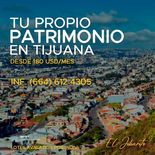 Odoo • Texto e imagen