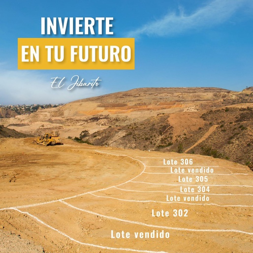 Odoo • Texto e imagen
